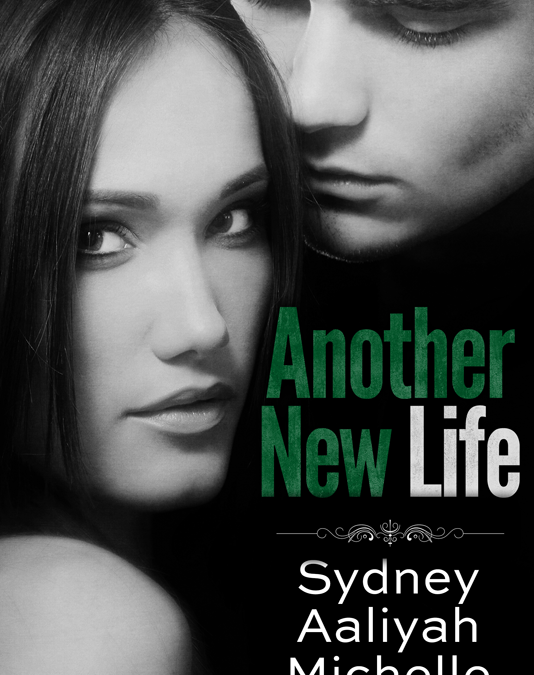 Another New Life Cover Reveal
