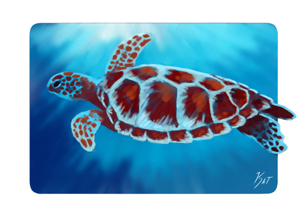 Ripple Sea Turtle