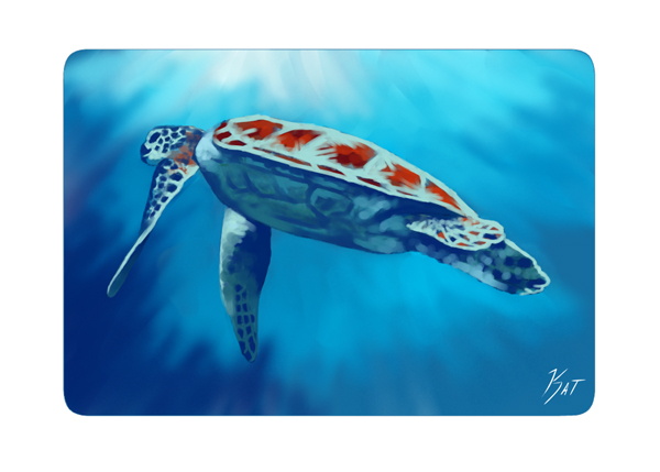 Ripple Sea Turtle