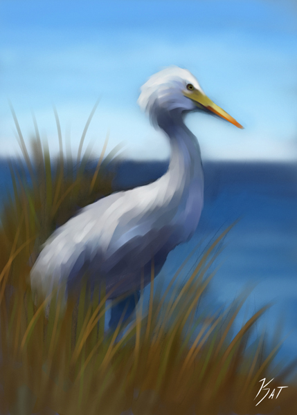 Water Bird 2