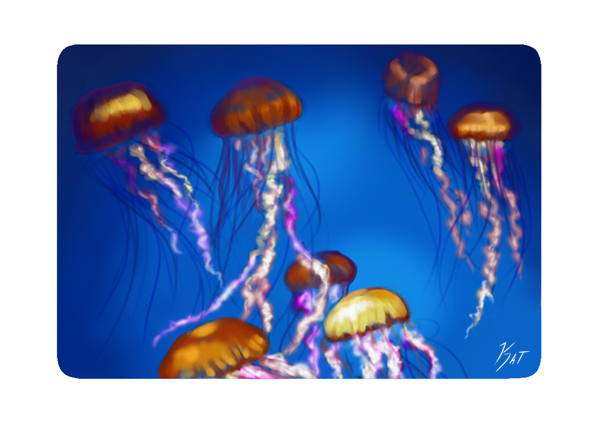 Jellies